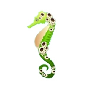 Green Barnacle Seahorse